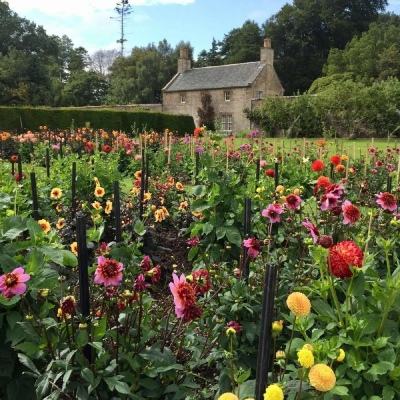 BET9官方APP下载正版