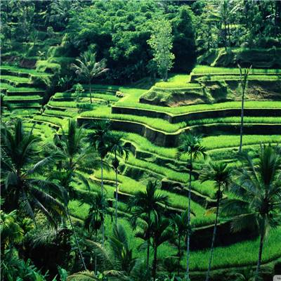 半岛综合体育·官方网站截图